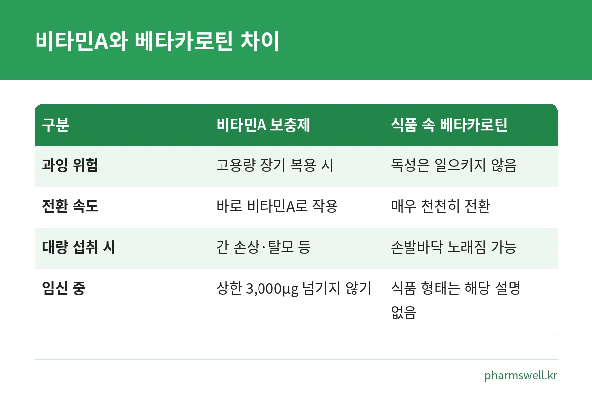 비타민A 보충제와 식품 속 베타카로틴의 과잉 위험과 전환 속도 차이를 비교한 표